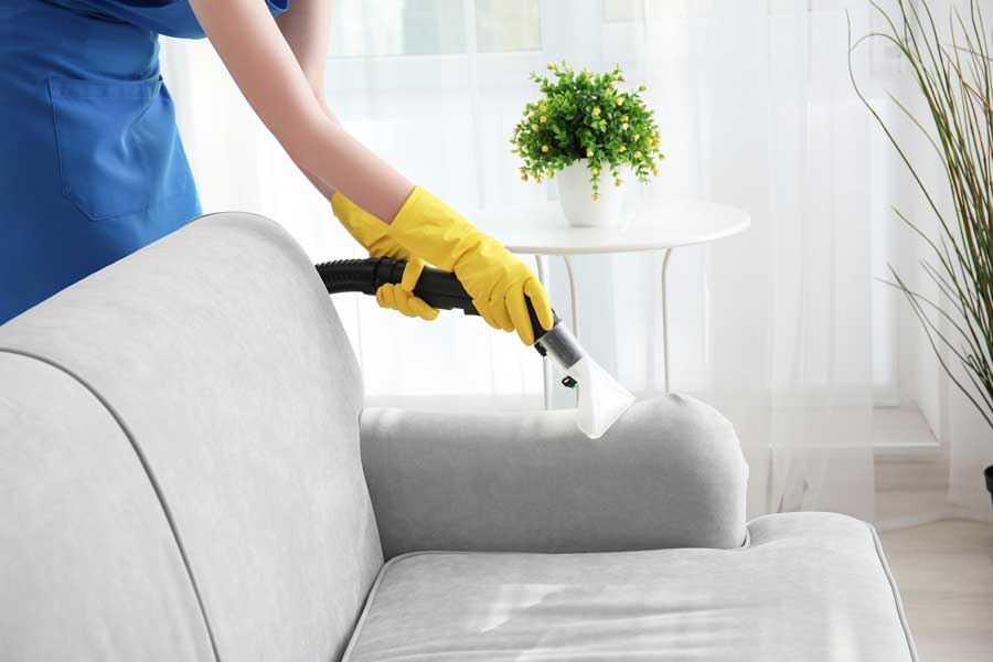 Upholstery & Furniture Cleaning Services